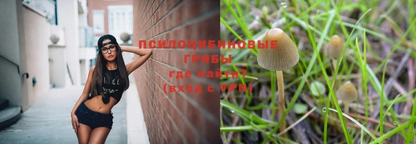 MESCALINE Михайлов