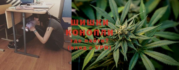 гидропоника Медногорск
