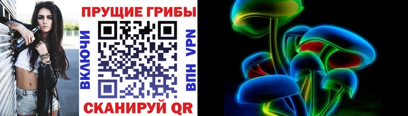 Купить  Киржач  Галлюциногенные грибы Psilocybe 